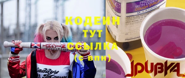 шишки Осташков