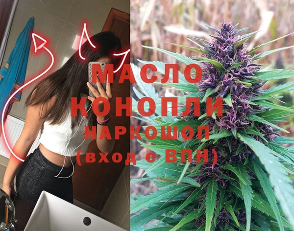 шишки Осташков