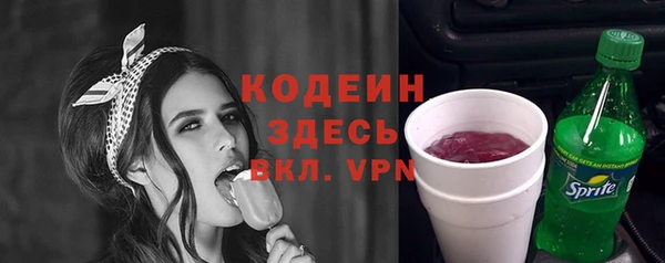 шишки Осташков