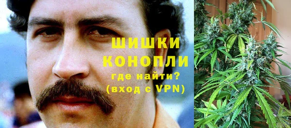 PSILOCYBIN Болохово
