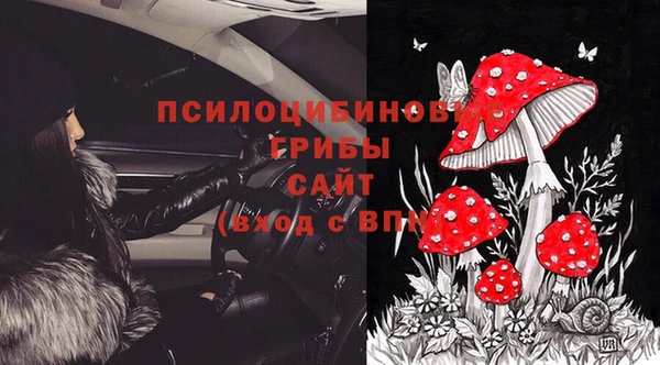 стафф Остров