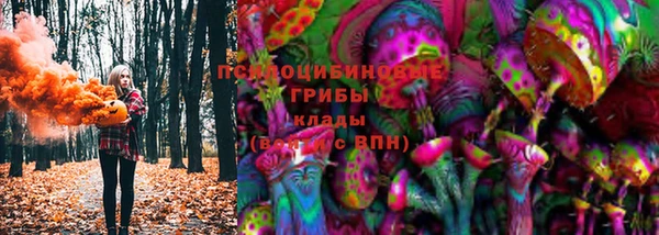 круглые Осинники