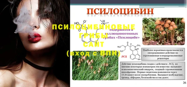 шишки Осташков