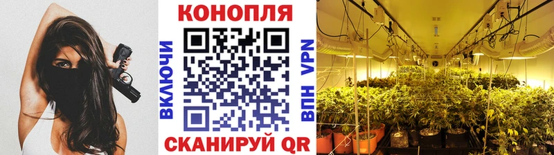 MEGA вход  нарко площадка телеграм  Бошки Шишки OG Kush  Болхов 